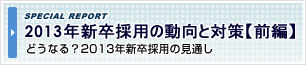 2013年 新卒採用の動向と対策【前編】
~どうなる?2013年新卒採用の見通し
